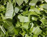 A picture of step 1 of Saag Keema In Pressure Cooker.