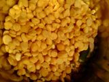 दाल भज्जी (Dal bhajji recipe in hindi)