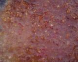A picture of step 2 of Rujak (Indonesian Fruit Salad with peanut sauce).