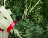 Une image de l'étape 11 de La Bresse 🐔en habits d'hiver 🥕🥬🥒🌶️.