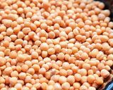 Foto del paso 1 de la receta: Mostaza casera 🌱 dos presentaciones: a la antigua y estilo actual rústica 🌱