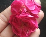 રોઝ વોલનટ કૉકનટ બરફી (Rose Walnut Coconut Barfi Recipe In Gujarati) રેસીપી સ્ટેપ2ફોટો