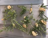 A picture of step 5 of Beef Filets with Marinated Garlic, Thyme, and Rosemary.