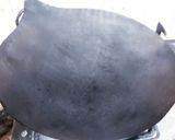 A picture of step 1 of Metha chila on tawa.