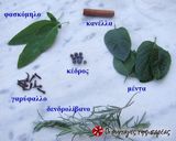 Φωτογραφία βήματος 4 της συνταγής Λικέρ λουΐζα, για τη γιορτή της Λουΐζας