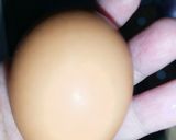 Foto langkah ke 4 dari resep Sup Tahu dan Telur Kuah Bening.