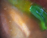Foto del paso 2 de la receta: Judías Pintas con Chorizo y Panceta