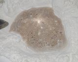 Foto del paso 1 de la receta: Cuernitos / Cañoncitos