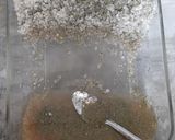 Foto del paso 4 de la receta: Gravlax de Salmón