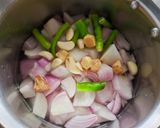 A picture of step 2 of Paneer Korma.