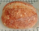 Foto langkah ke 23 dari resep Basic Sourdough Bread 72% (Open Bake Method - Oven Tangkring).