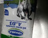 Hình bước làm 4 của món Mứt dừa sữa lá dứa