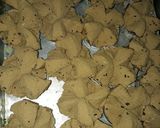 Foto langkah ke 6 dari resep Bolu kukus mocca mekar.