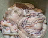 Foto del paso 1 de la receta: Pulpo cocido en olla GM cecotec