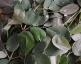 Foto langkah ke 1 dari resep Botok Daun Kelor.