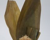 A picture of step 4 of Zong zi.