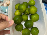 Trà Tắc Xí Muội