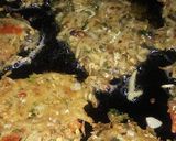 A picture of step 5 of Kachalo ke pakora (Panjabi style pakorey).