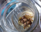 Foto del paso 1 de la receta: 🍍Tepache 🍍😋