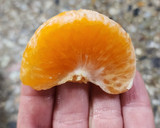 Foto del paso 12 de la receta: Cheesecake de yogur y mandarina 🍊 (sin horno!!)