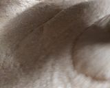 Foto del paso 4 de la receta: Pan de Espelta integral