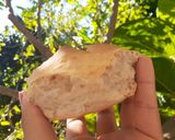 Foto del paso 7 de la receta: Figazas de manteca.🍞