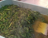 Foto del paso 7 de la receta: Romeritos con mole