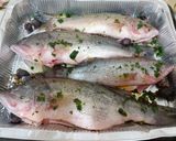 Foto del passaggio 2 della ricetta Black bass (o persico trota)