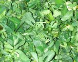A picture of step 1 of Methi Matar pulaw.