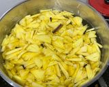 Foto langkah ke 3 dari resep 52. Ananas Stoof (Stup Nanas).