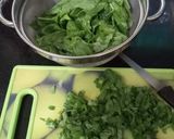 A picture of step 1 of PALAK TIKKI with gravy.