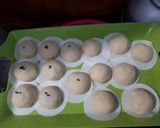 Foto langkah ke 4 dari resep Bakpao.