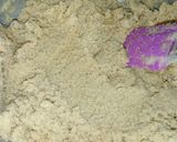 A picture of step 2 of Panjeeri.