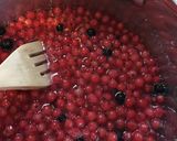 A picture of step 2 of Redcurrant Jam.