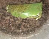 Foto langkah ke 4 dari resep Nasi liwet bakar.