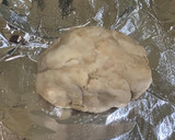 生酮版電烤箱/小烤箱生酮漢堡麵包（照片醜但非常實用版）的食譜步驟2照片