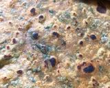 A picture of step 3 of Methi leaves 🍃 Thepla.