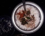 A picture of step 4 of Curd Sabudana.