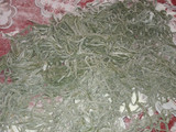 Fideos caseros de espinaca