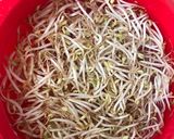 Foto langkah ke 1 dari resep Oseng Tauge Bakso Puyuh.