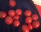 Foto del paso 1 de la receta: Tomates secos