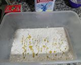 Foto del paso 2 de la receta: Pan casero