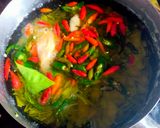 Foto langkah ke 3 dari resep Lodeh lamtoro muda.
