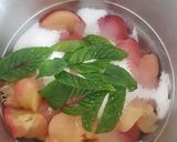Une image de l'étape 5 de 🍑Soupe de pêches de vigne!🍑.
