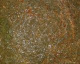 A picture of step 3 of Black soup.