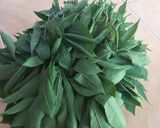 Foto langkah ke 4 dari resep Sayur daun ubi tumbuk untuk kluargaku😋.