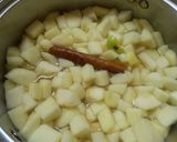 Foto del paso 3 de la receta: Puré de Manzana Navideño🇵🇪
