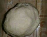 Foto langkah ke 1 dari resep Martabak isi Daging bumbu Kari (Homemade).