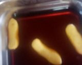 Foto del paso 8 de la receta: Tiramisú