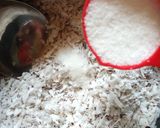 A picture of step 2 of Coconut Laddo.